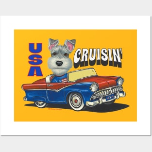 Humorous and cute schnauzer driving a funny classic car through the USA Posters and Art